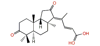 Globostelletin F